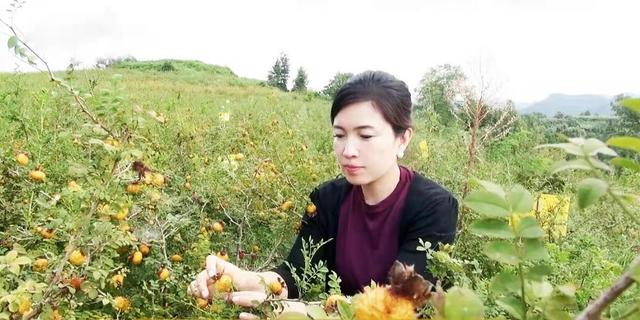 養(yǎng)生“成分黨”崛起 營養(yǎng)食品應(yīng)識(shí)別“概念添加”.jpeg